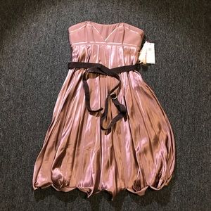 Brand new bcbg runway maxazria size 0 dress